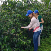 Отель Finca Agroturistica Alejandria, фото 20