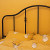 Отель Orange County Guest House - Hostel, фото 18