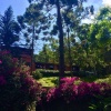 Отель Casa Fazenda Inglesa, фото 31