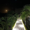 Отель Moon Wind Tayrona Hostel, фото 12