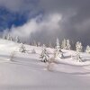 Отель Gasthof Sauschneideralm (Maier Helene Katharina), фото 21