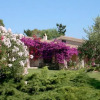 Отель Residence San Teodoro 1, фото 10
