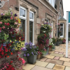 Отель Hawthorn Lodge Guest House, фото 1