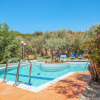 Отель Olive Farm, фото 16