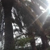 Отель Finca Bella Vista, фото 17