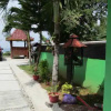 Отель Losmen Kinasih Puncak & Gazebo Pandang, фото 15