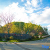 Отель Tiantai Yuejing Inn, фото 1