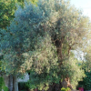Отель House With 2 Bedrooms in Michelica, Modica, With Furnished Terrace and, фото 11