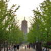 Отель Beijing Riverside Hotel, фото 25