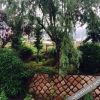 Отель Liujia Xiaoyuan Inn, фото 18