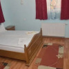 Отель Pensiunea La Palaguta, фото 3