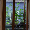 Отель B&B Bellini LOriginale, фото 18