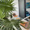 Отель Polo 88 Apartamentos a pasos del Mar, фото 15