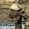 Отель Nambiti Plains Private Game Lodge, фото 24