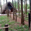 Отель Nyungu Yamawe Forest Park, фото 7