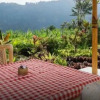 Отель The Bukit Artha, фото 2
