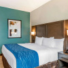 Отель Comfort Inn & Suites Miami International Airport, фото 26