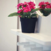 Отель Kamala Regent C202 - Trendy Apartment With Pool And Gym Walk To Beach, фото 8