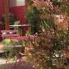 Отель La Mésangeraie, фото 7