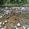 Отель Finca El Encanto Eje Cafetero, фото 5