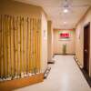 Отель Palau Vacation Hotel, фото 14