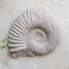 Отель Postmaster's Lodging, фото 8