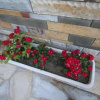 Отель Hostel Vila 3, фото 8