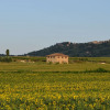 Отель Tuscan Style Eco-Farm Molinaccio, фото 28