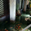 Отель Dongshan No.92 Hot Spring Courtyard, фото 1