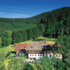 Отель Fehrenbach Waldhotel, фото 6