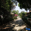 Отель Baise In the Water Art Homestay, фото 8