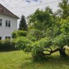 Отель FAMILY APARTMENT LINZ Wohnen mit Garten am Fusse des Pöstlingbergs TOP LAGE Villenviertel, фото 4