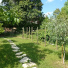 Отель Modern Accommodation, Just Renovated, Private Garden, Wifi, Near Treviso, фото 17