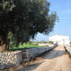 Отель Masseria Scinarello, фото 5