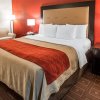 Отель Quality Inn & Suites Nj State Capital Area, фото 16