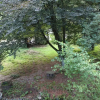 Отель Rivendell 9, фото 5