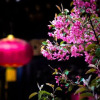 Отель Wenying Hotel, фото 14