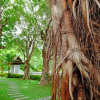 Отель Khum Nakorn Villa, фото 19