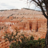 Отель The Cottages At Bryce Canyon, фото 18