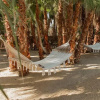 Отель Cien Palmas- Authentic Mexican Casita 3 -Downtown, фото 13