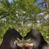 Отель Can’t Bear To Leave 455 - Four Bedroom Cabin, фото 22