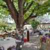 Отель B&B Le Mas du Grand Jonquier, фото 5