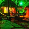 Отель Las Olas Beach Bar, фото 14