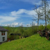 Отель Casa Papițu, фото 15