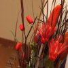 Отель Hostal Avenida, фото 16