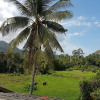 Отель Samui Zenity Hotel, фото 22