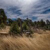 Отель A Frame Acres - Three Bedroom Cabin, фото 12