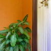 Отель Hidden Paradise Guest House, фото 12