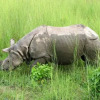 Отель Rhinoceros - Homestay, фото 26