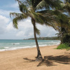 Отель Premier, Oceanfront, Spectacular View Villa in Palmas Del Mar (BV231), фото 2